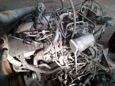 8rp8TRW06v.jpg