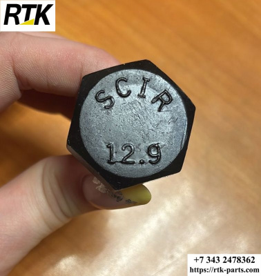 X1qX9rT6bM.jpg