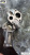 Fn1IkK0XF5.jpg Fn1IkK0XF5.jpg